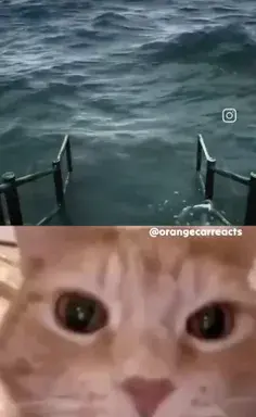 عکس دارک ویکوک