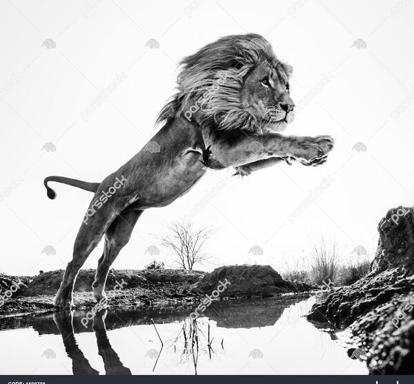 عکس مشکی نقاشی