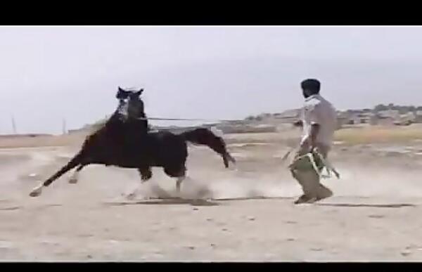 عکس اسب آتش