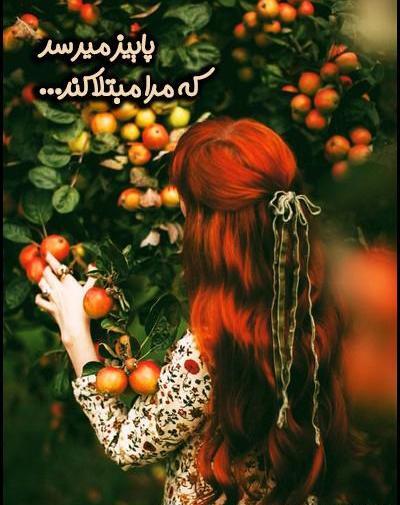 عکس استوری پاییز رسید