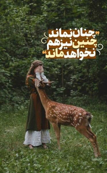 عکس اهو پروفایل