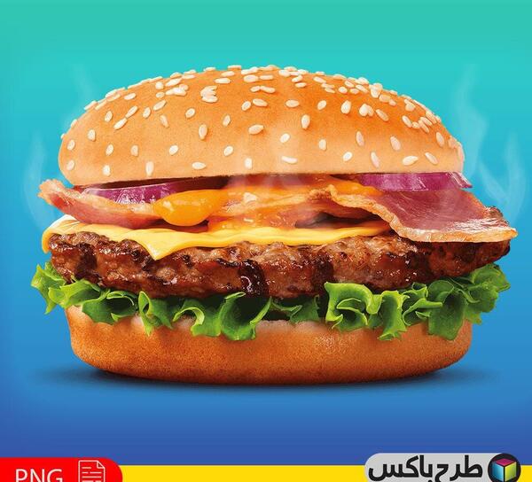 عکس دیزاین همبرگر