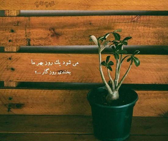 عکس نوشته های نامردی روزگار