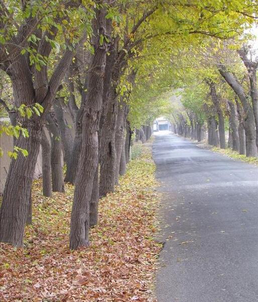 عکس هوایی فردیس کرج