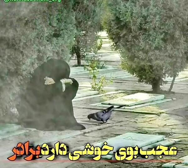 عکسهای غمگین داریوش