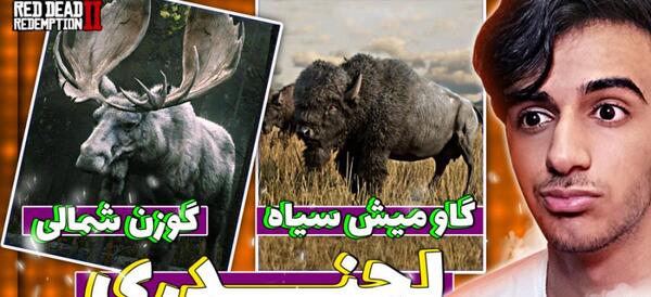 عکس چاقوی غول پیکر