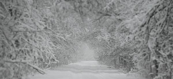 عکس زمستان کلبه