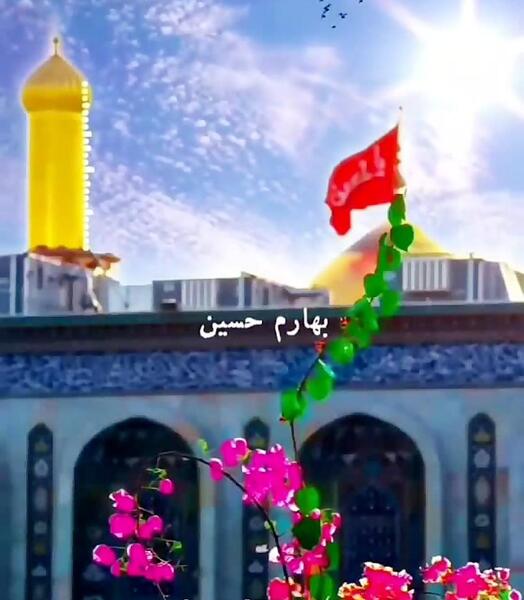 عکس فیلم گل نرگس