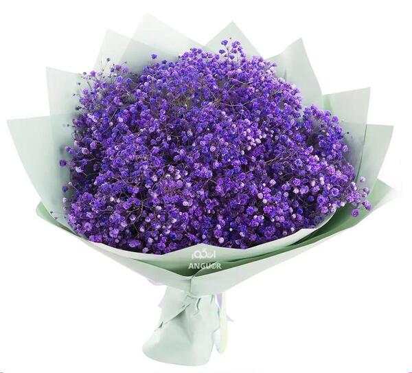 عکسهای دسته گل آبی