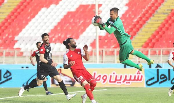 عکس اسب حامد لک