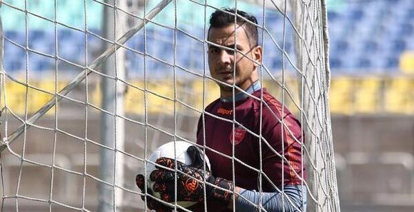عکس اسب حامد لک