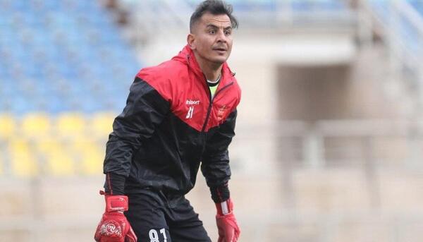 عکس اسب حامد لک