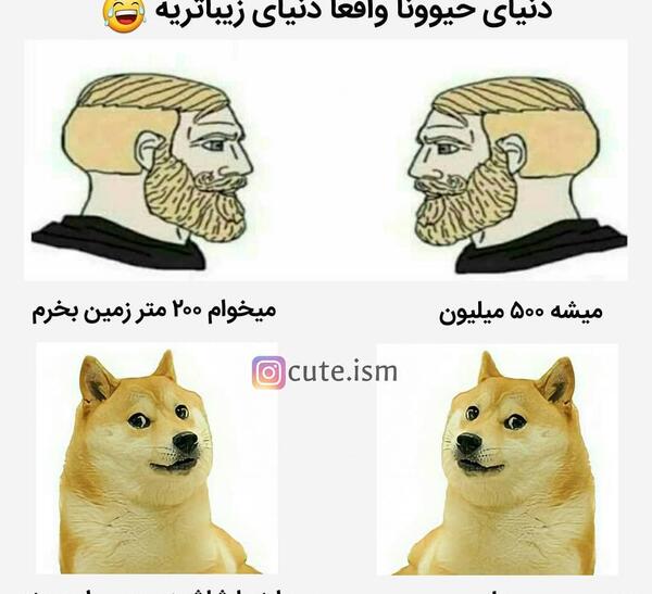 عکس خنده دار غلو