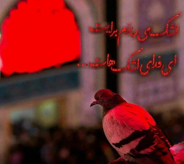 عکس محرم پروفایل ۹۹