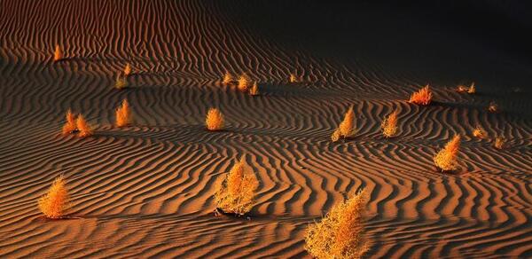 عکس کویر زیبا
