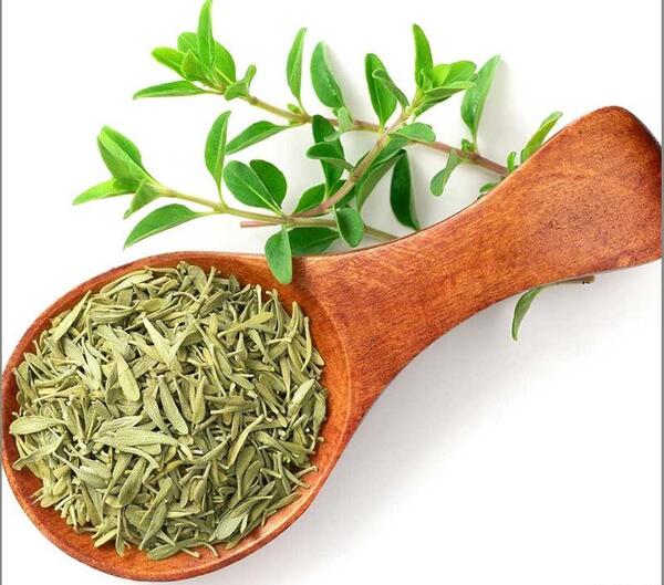 عکس آویشن خشک