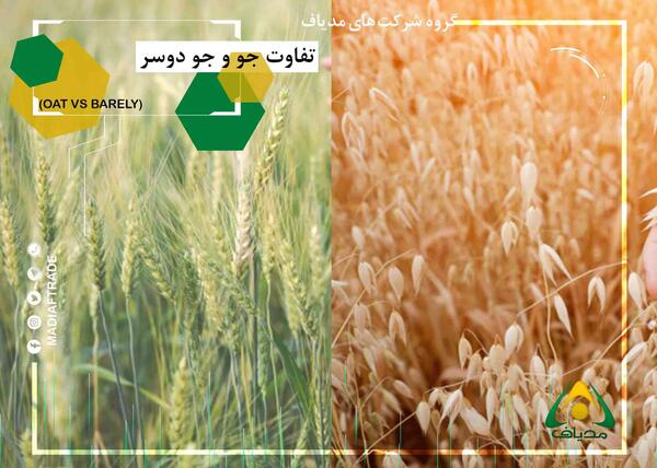 عکس جو دوسر و جو معمولی