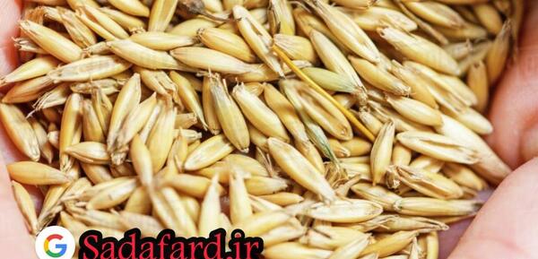 عکس جو دوسر و جو معمولی