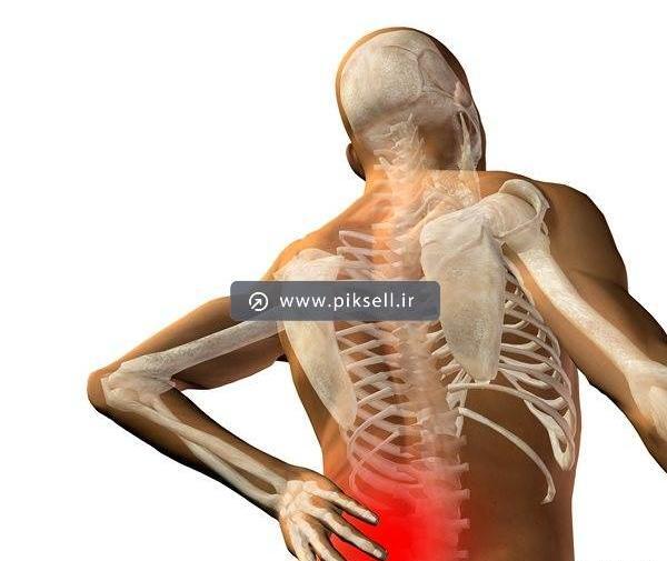 عکس اسکلت بدن انسان با کیفیت