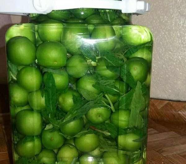 عکس الوچه سبز