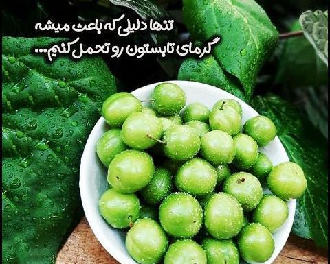 عکس الوچه سبز