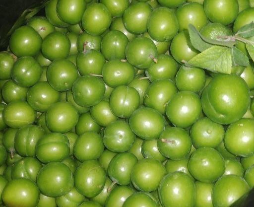 عکس الوچه سبز