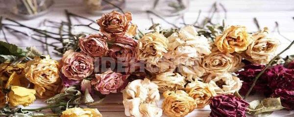 عکس رنگ تیفانی