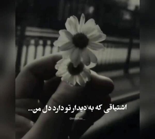 عکس نوشته با یکی دیگه بودن