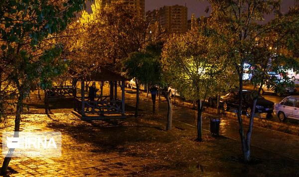 عکس باران شب