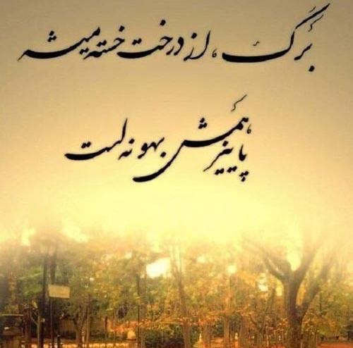 عکس باران پاییزی در روز