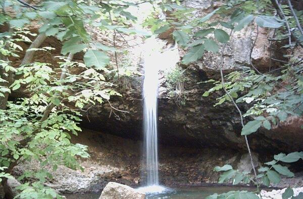 عکس امید صفایی