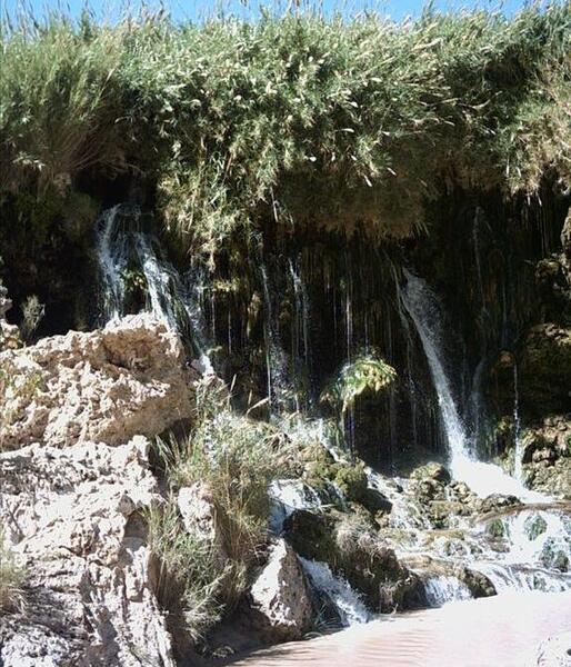 عکس امید صفایی