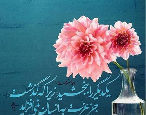 عکس در مورد بخشش دیگران