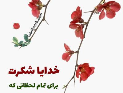 عکس نوشته خدایا شکرت بابت زندگیم
