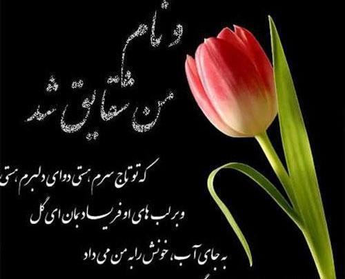 عکس گل پرپر شده پروفایل