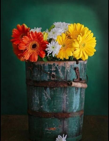 عکس منظره زیبا عاشقانه