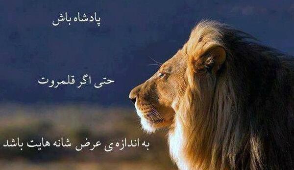 عکس نوشته خاطرات خیلی عجیبند
