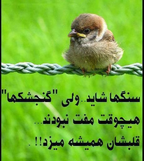 عکس نوشته خاطرات خیلی عجیبند