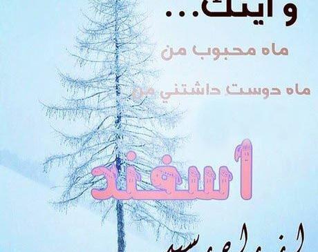 عکس من یک اسفند ماهی هستم