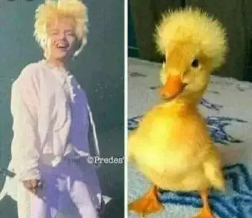 عکس بی تی اس سم