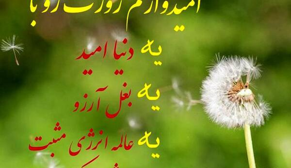 عکس پاپیون جدید