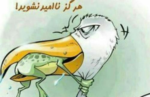 عکس نوشته موفقیت دخترانه