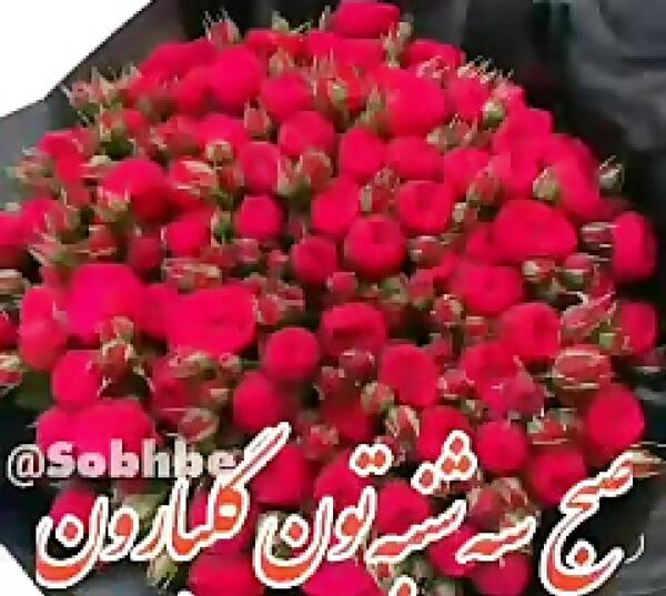 عکس نوشته صبح بخیر فتوکده