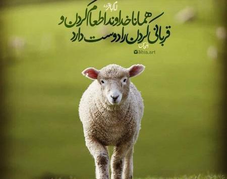 متن و عکس نوشته عید قربان
