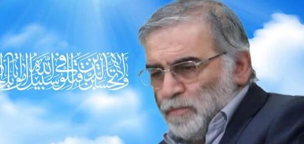 عکس شهید سلیمانی و فخری زاده