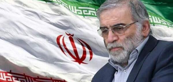 عکس شهید سلیمانی و فخری زاده