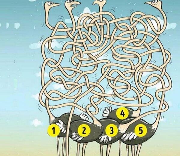 عکس چالش و معما با جواب