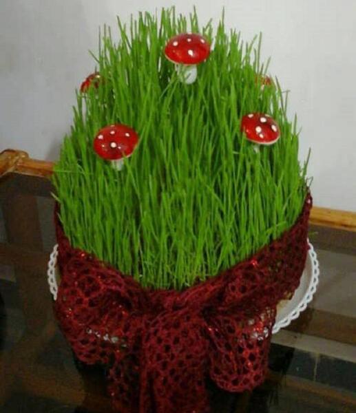 عکس سبزه عید شیک