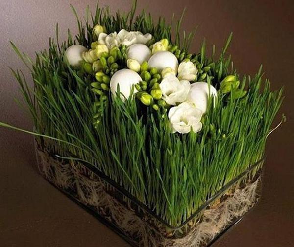 عکس سبزه عید شیک