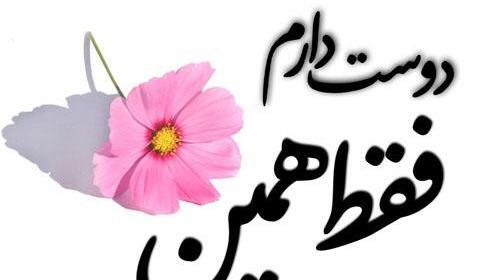 عکس بارانی گل